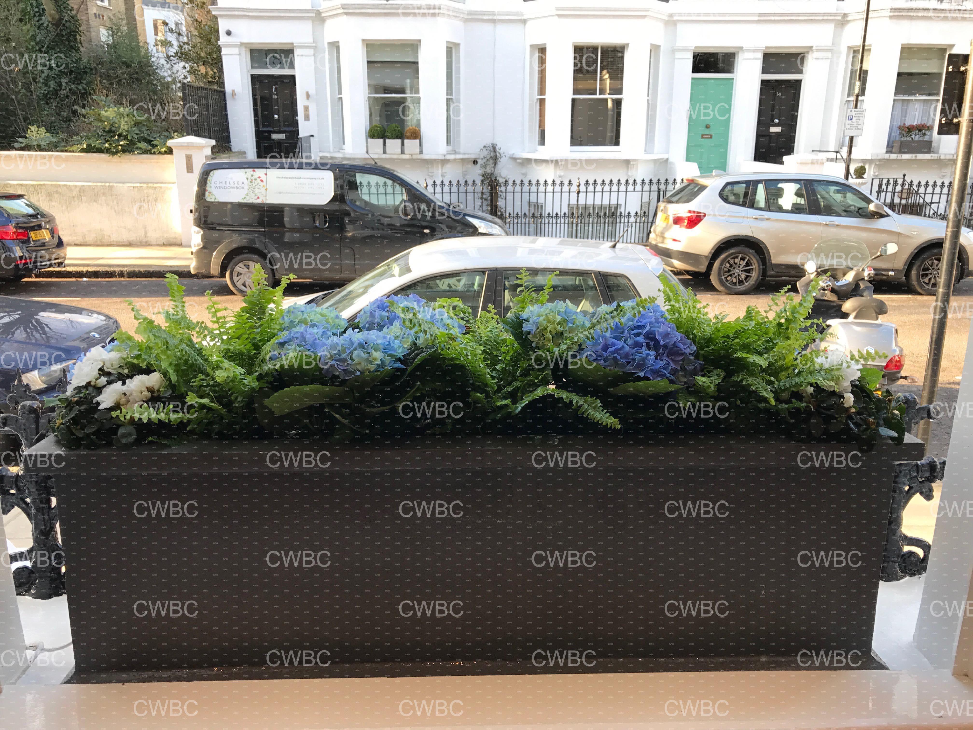 placeholder image-sq