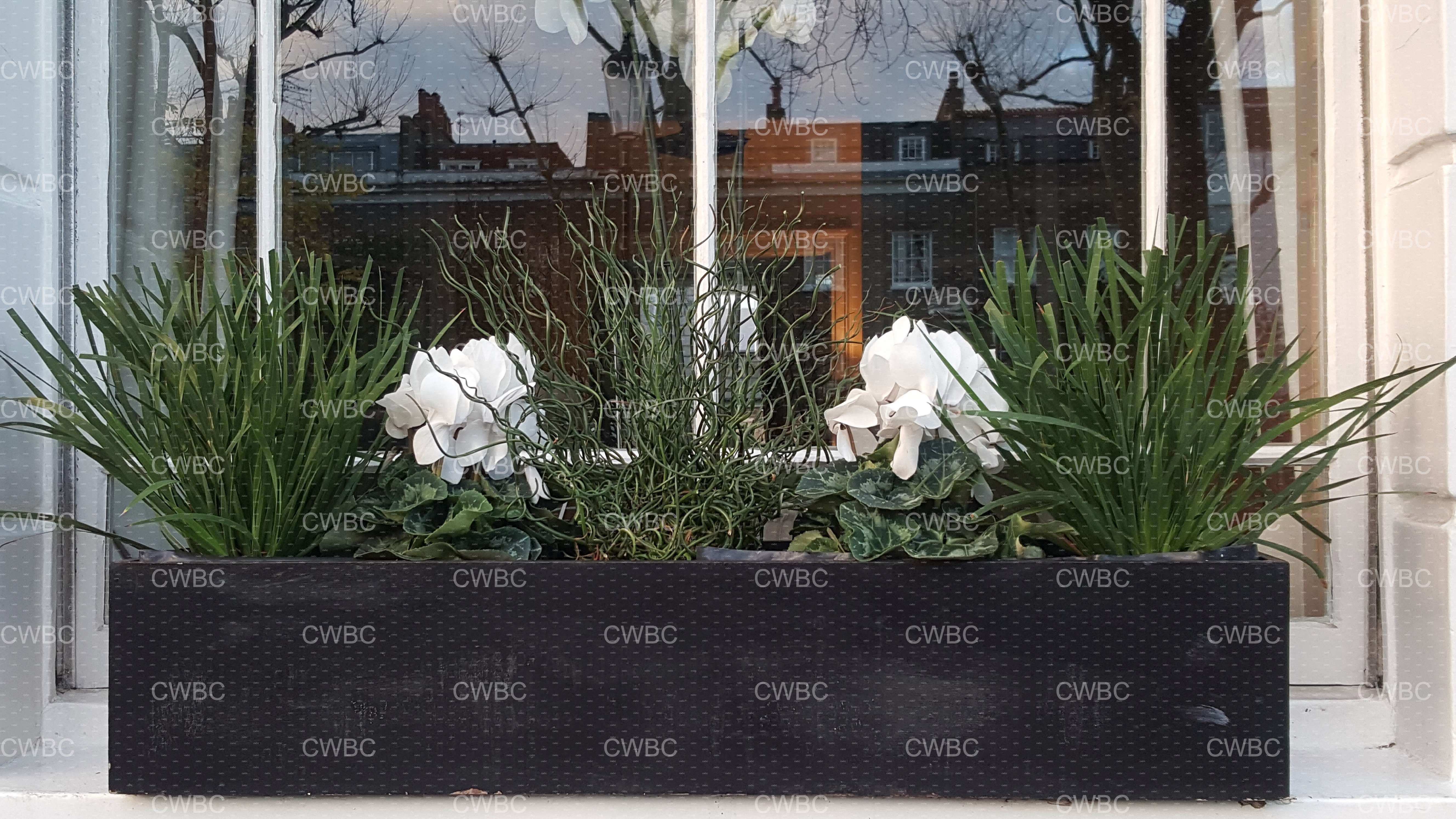 placeholder image-sq