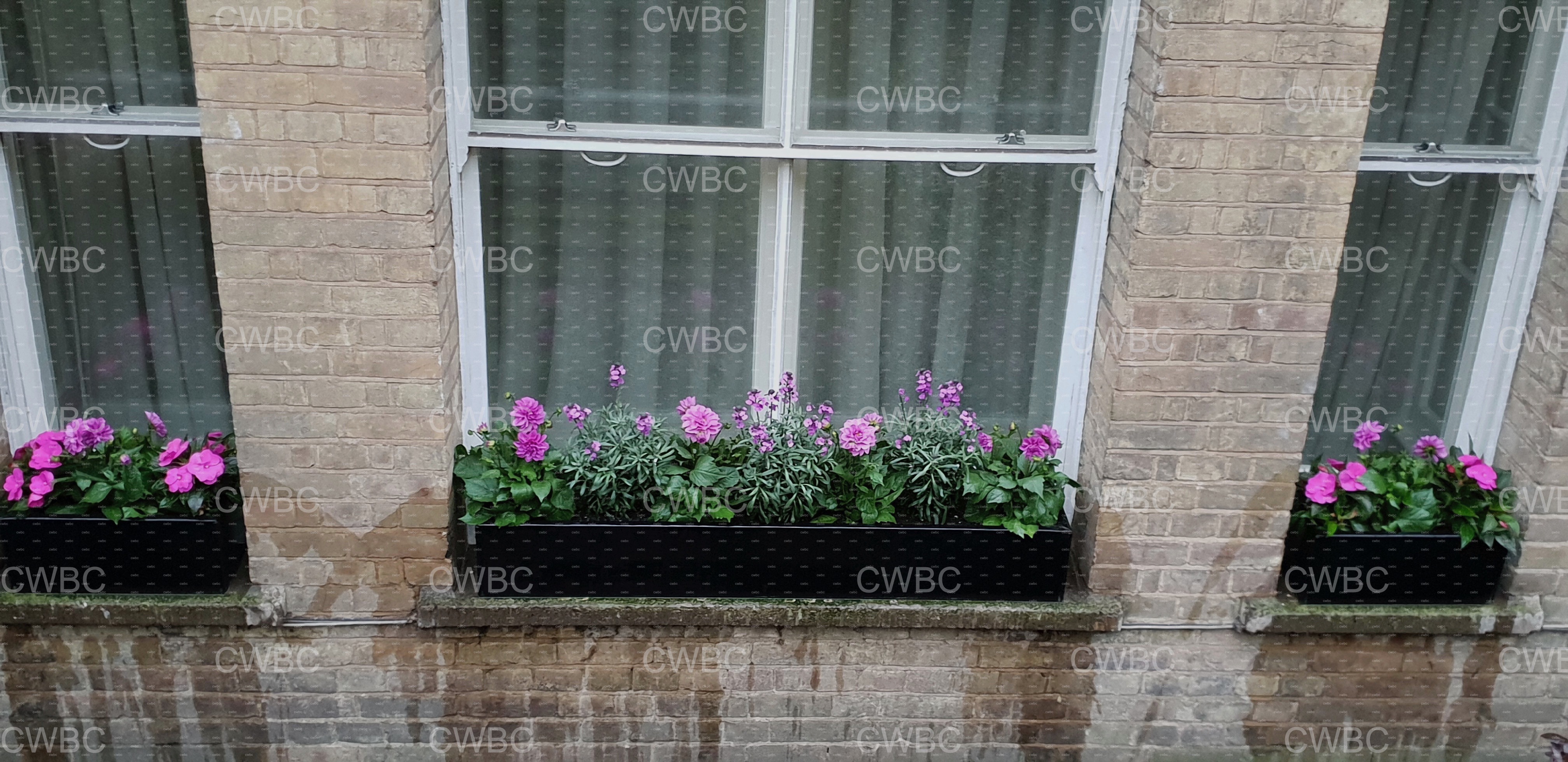 placeholder image-sq