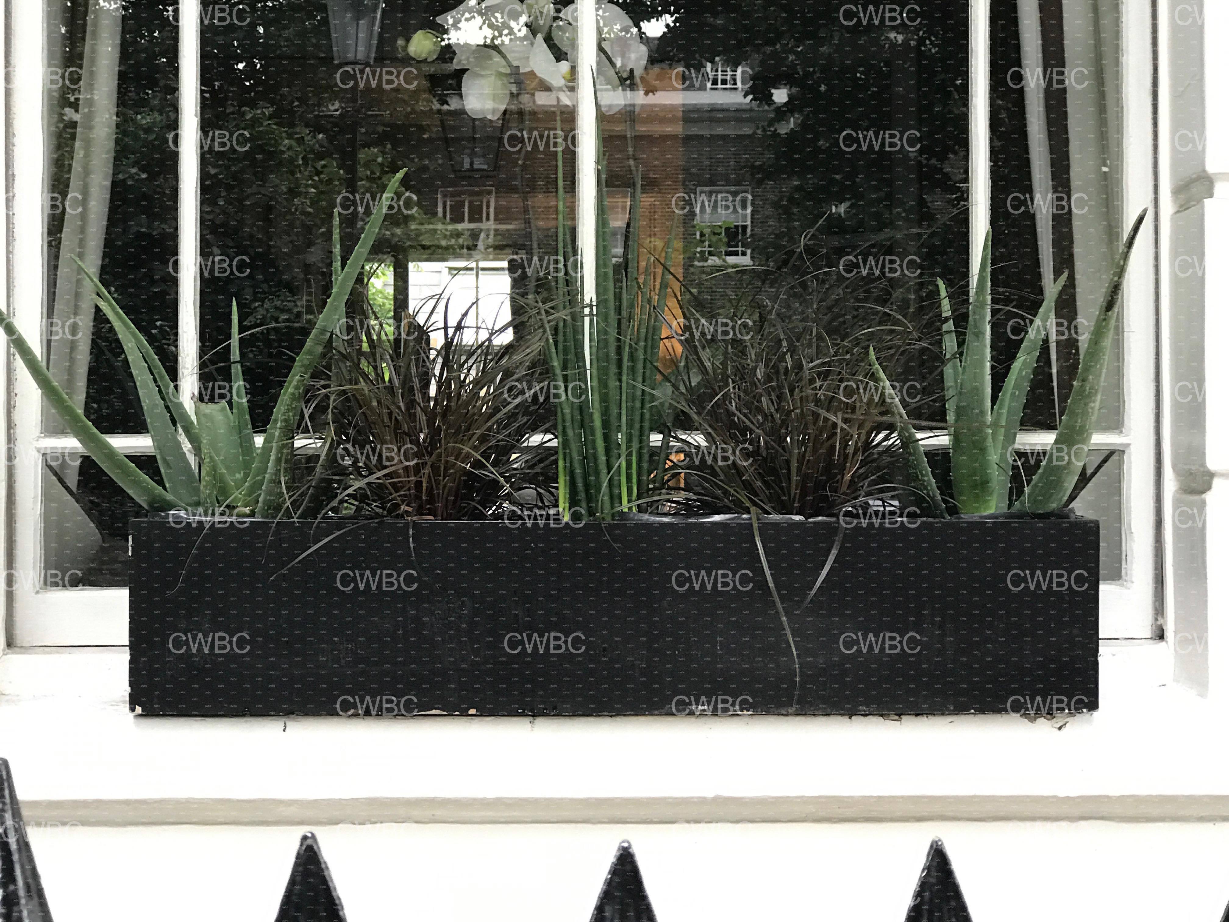 placeholder image-sq