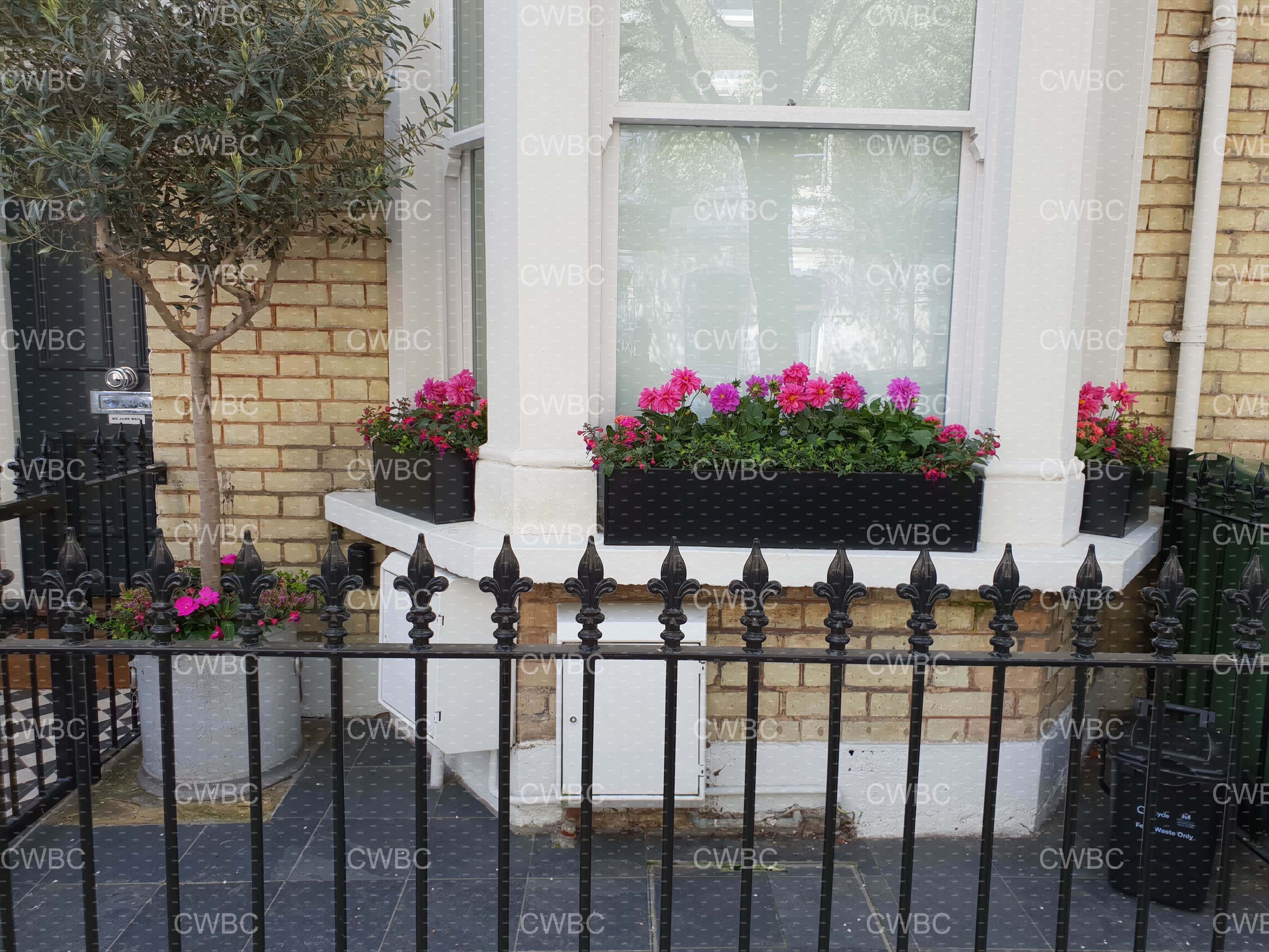 placeholder image-sq