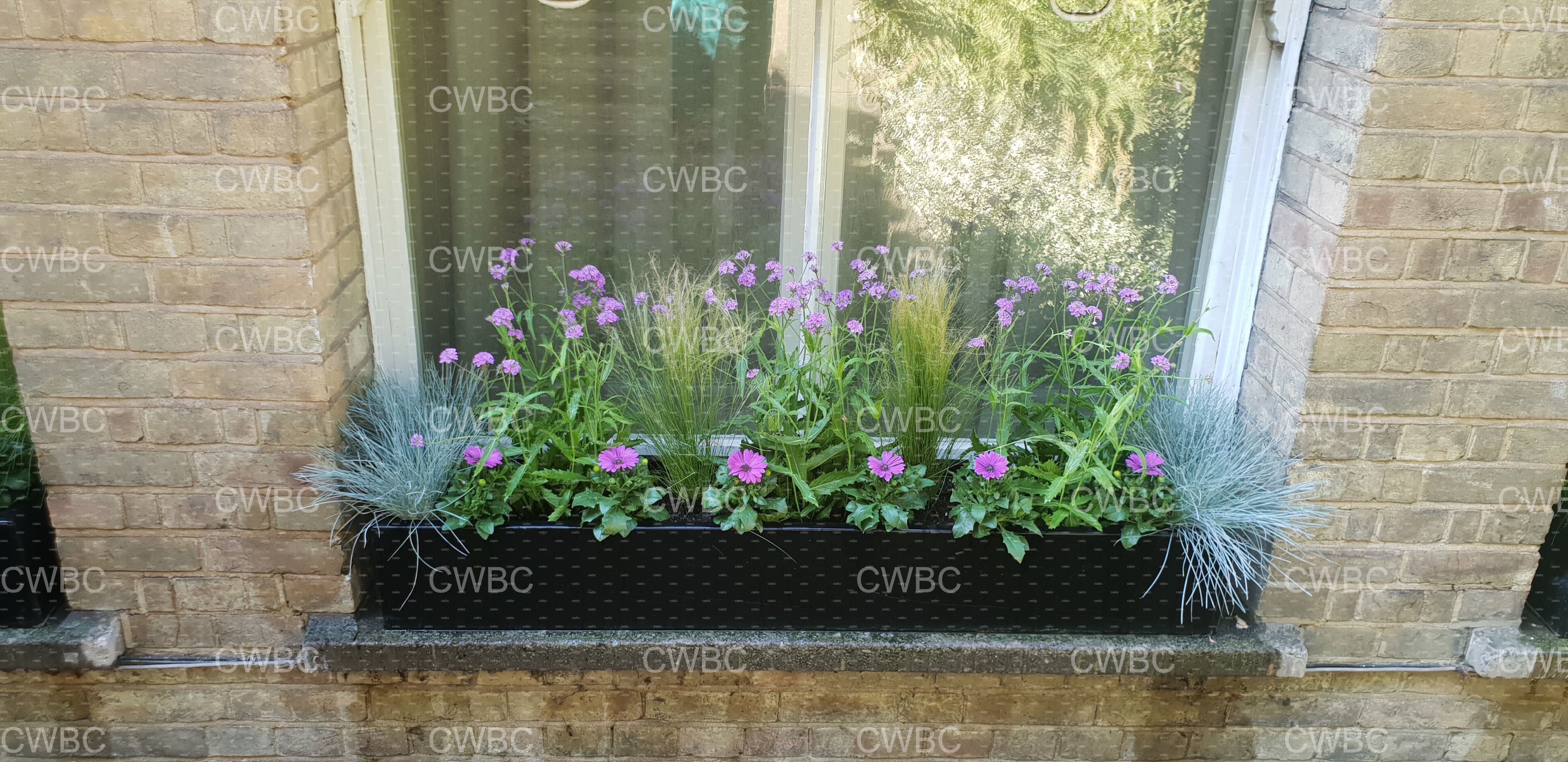 placeholder image-sq