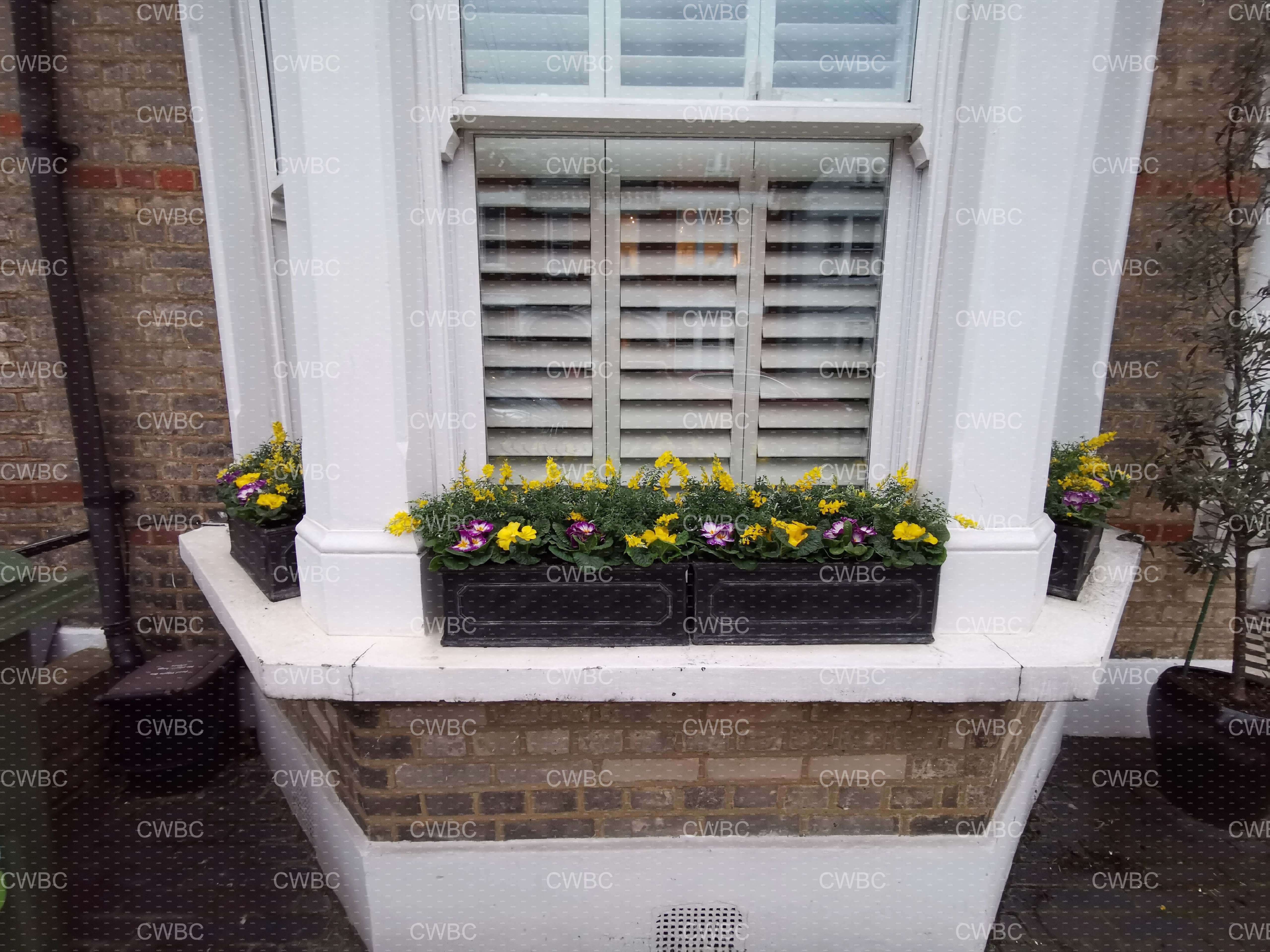 placeholder image-sq