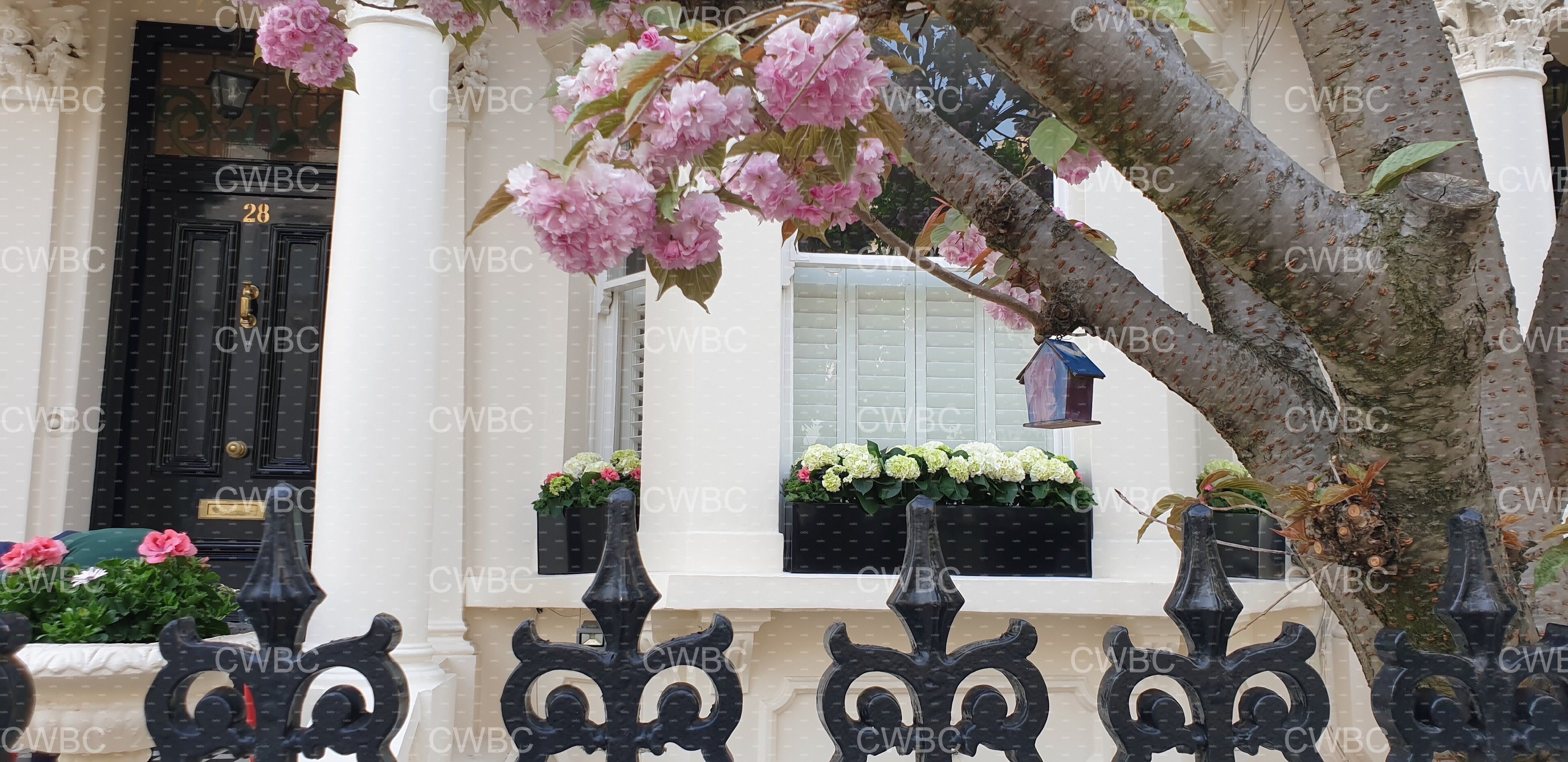 placeholder image-sq