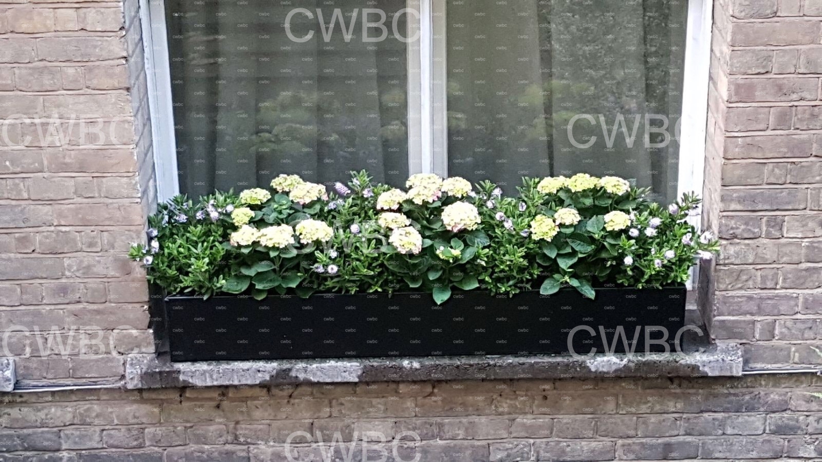 placeholder image-sq