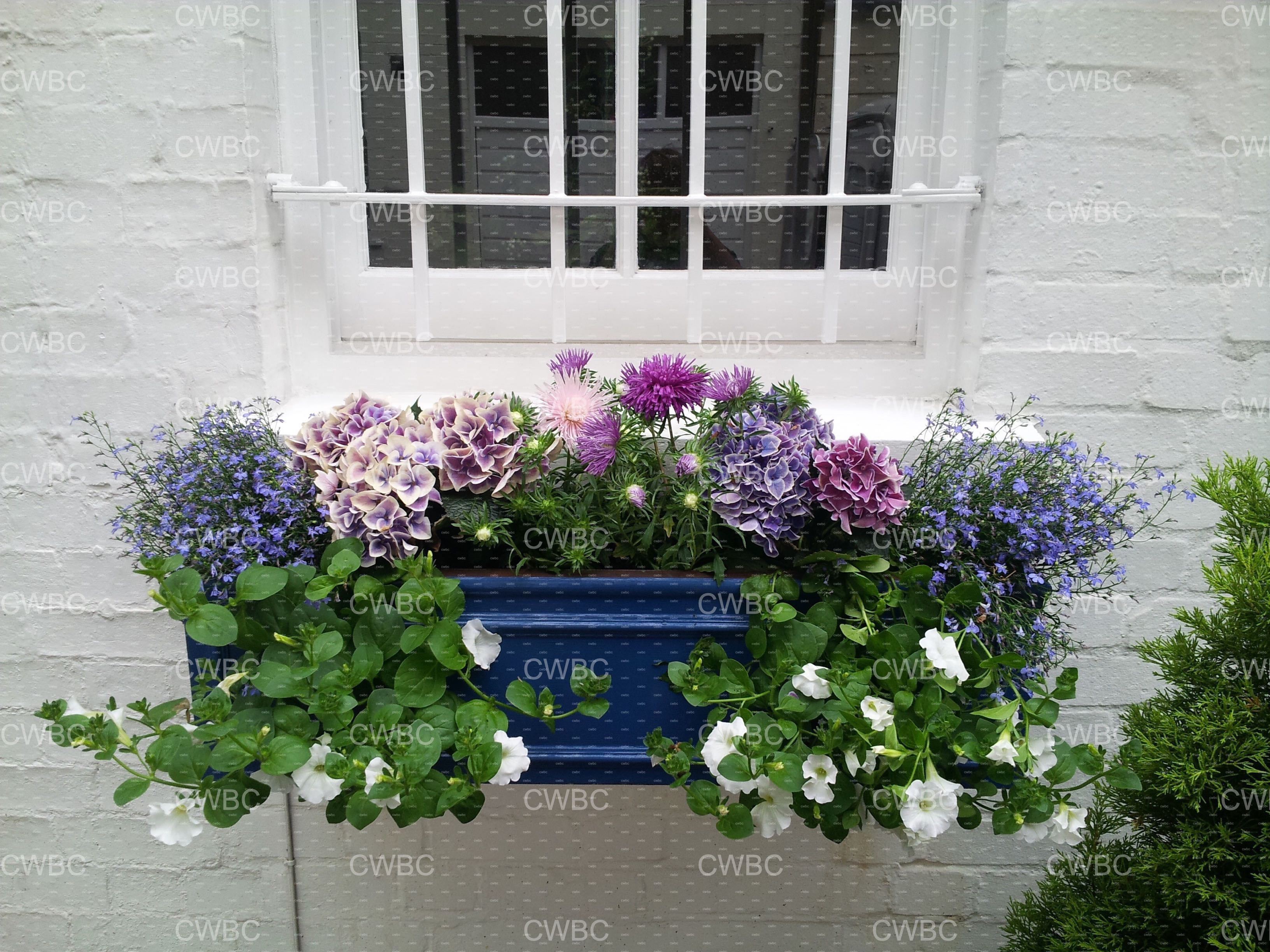 placeholder image-sq