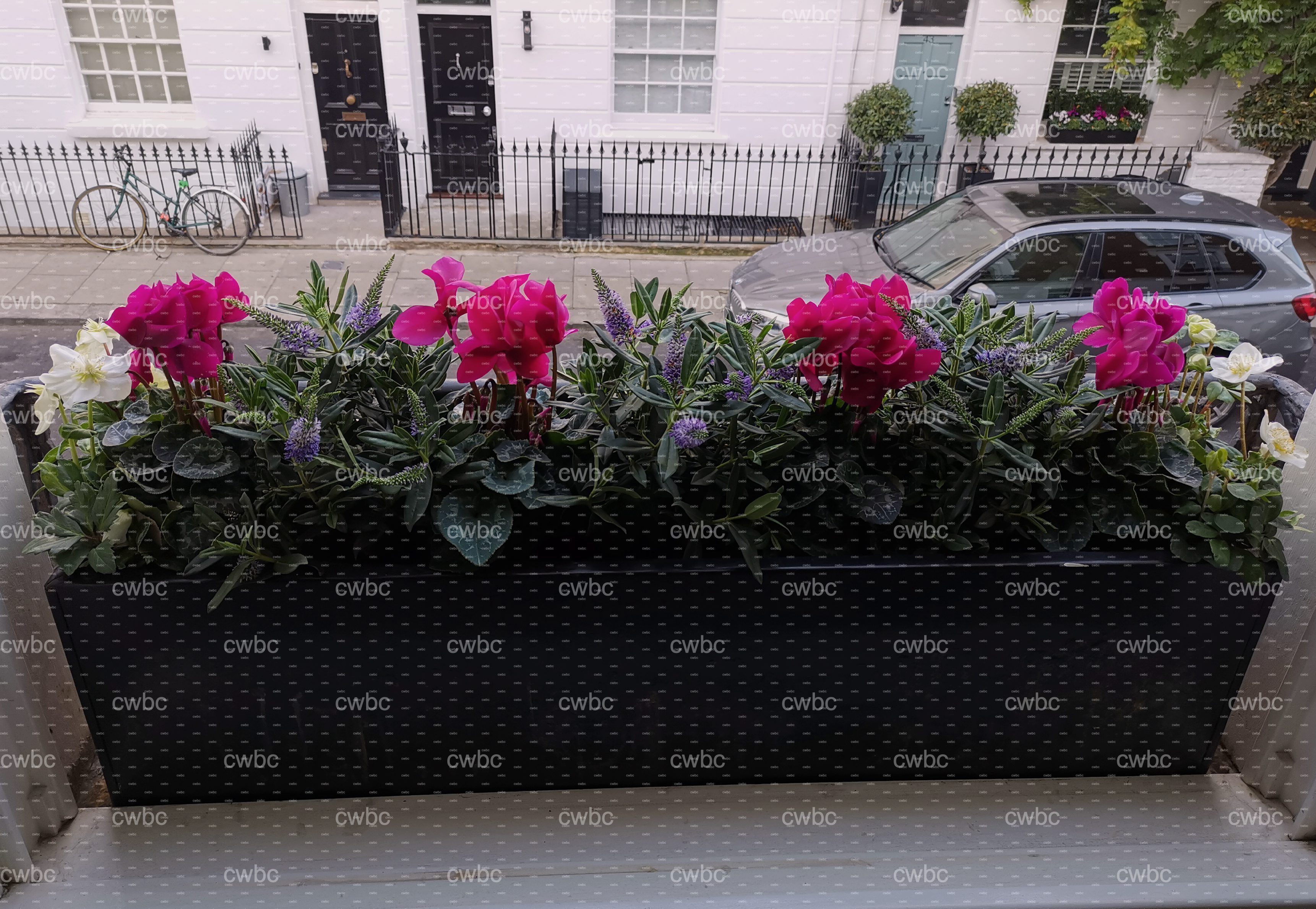 placeholder image-sq