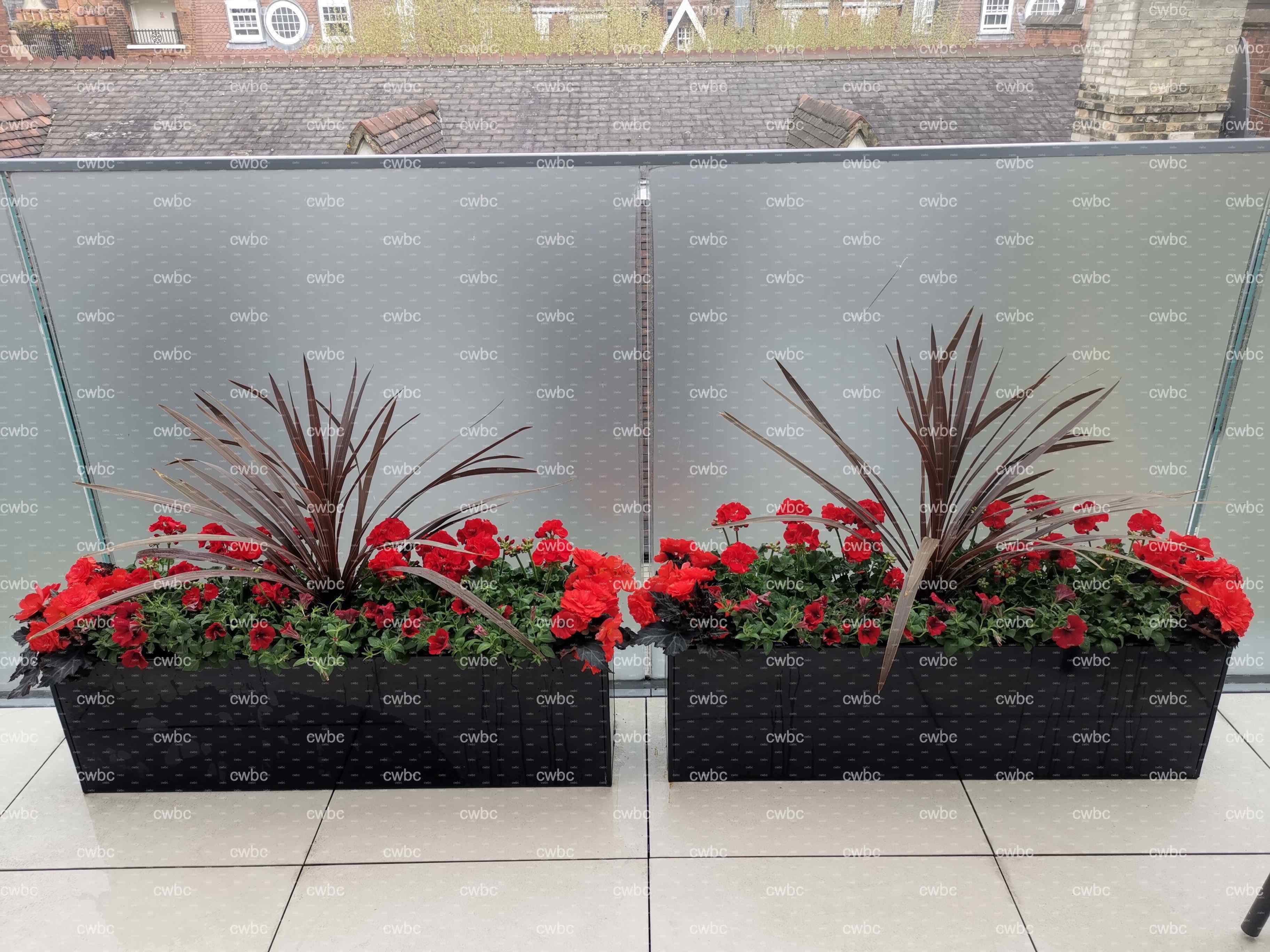 placeholder image-sq