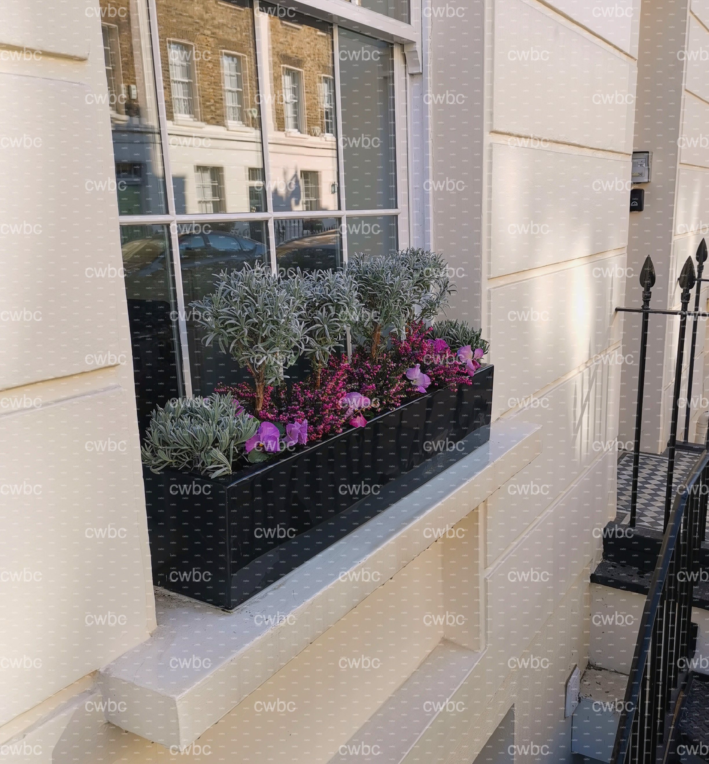 placeholder image-sq