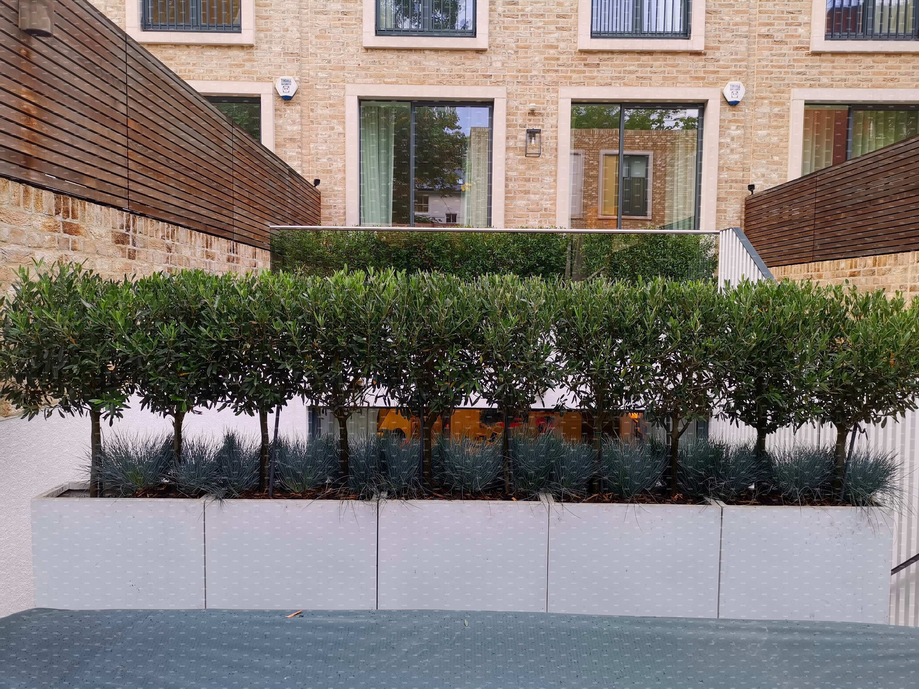 placeholder image-sq